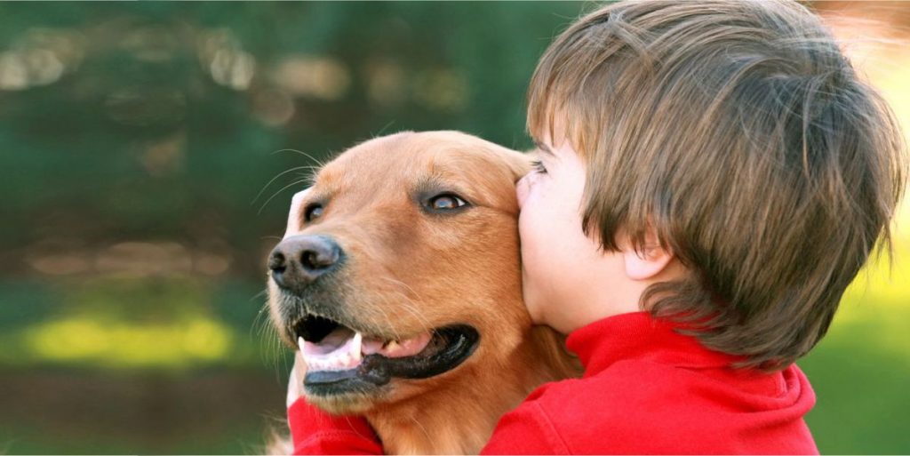 autismo e terapia com animais