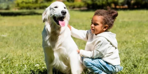 O auxílio dos cães de assistência para pessoas autistas