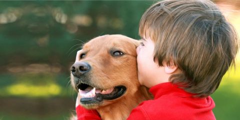 Autismo e terapia com animais: saiba como o uso de pets pode ser um aliado à Terapia ABA